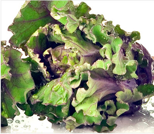 Flower Sprout  Made To Order Sprout